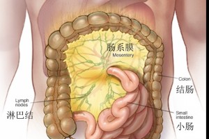 得了肠系膜淋巴结炎怎么办