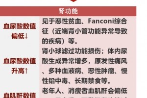 体检陈述这些目标暗示这些病1分钟教你全看懂