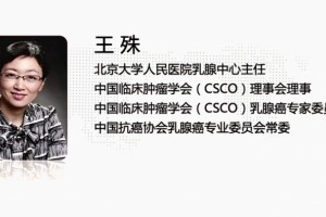 北大公民乳腺中心主任王殊2020CSCO-BC攻略前期乳腺癌更新关键